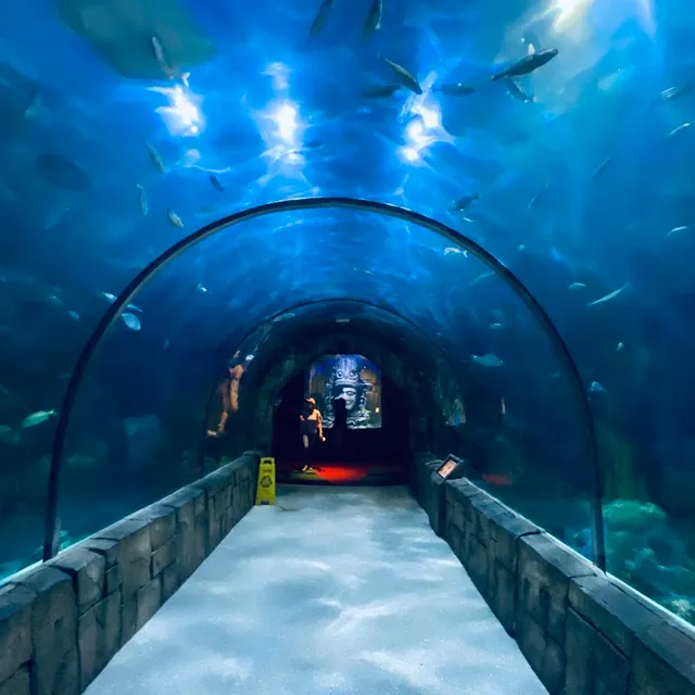 Audubon Aquarium — 1.5-2 hours pre-cruise activity near Port of New Orleans