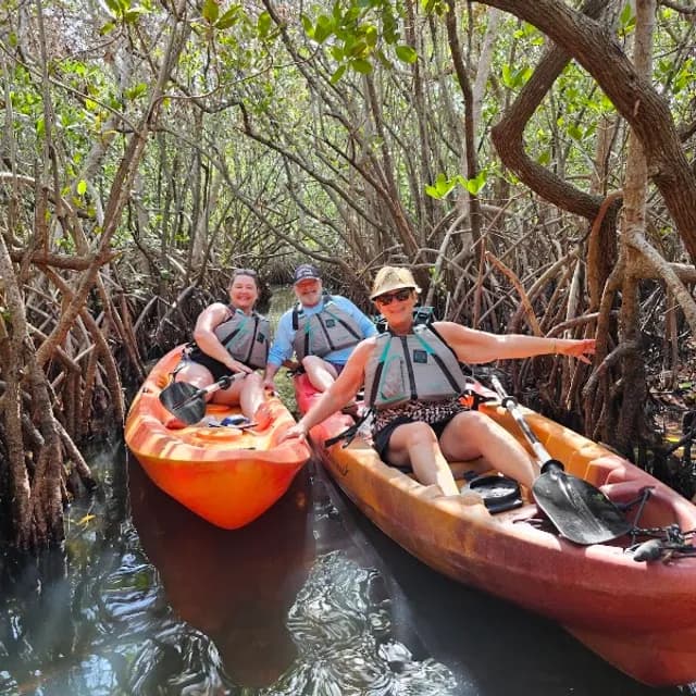 Kayak or Paddleboard Eco Tour — 2 hours pre-cruise activity near Port Canaveral