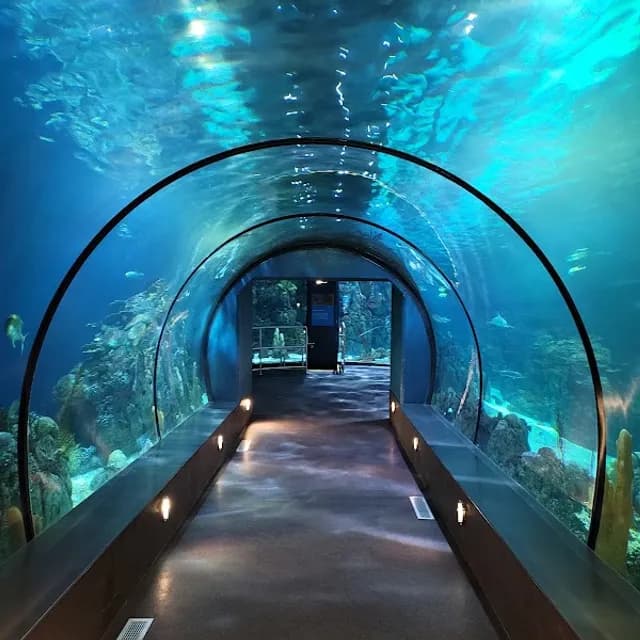 Moody Gardens — 2-4 hours; 3-4 hours minimum pre-cruise activity near Port of Galveston