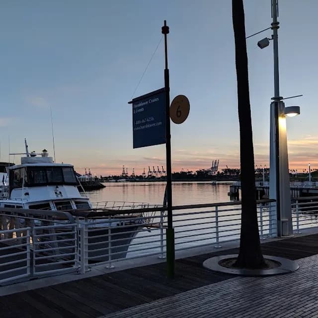 AquaBus Ride — 30 min pre-cruise activity near Port of Long Beach
