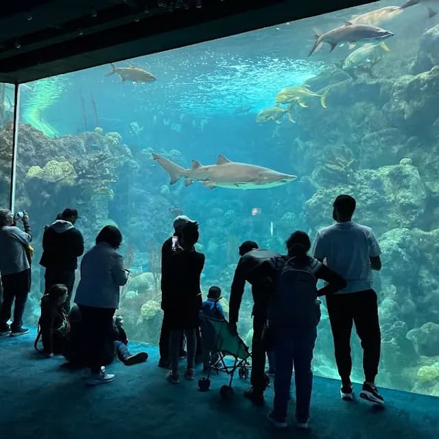 Florida Aquarium — 2-3 hours pre-cruise activity near Port Tampa Bay