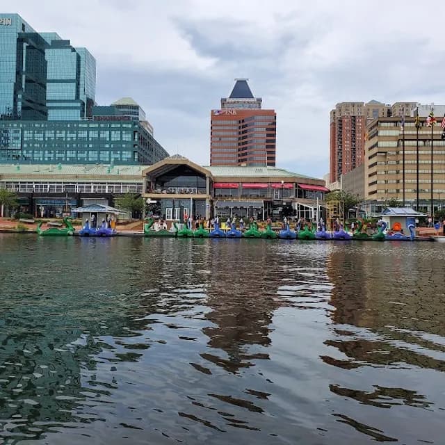 Inner Harbor Paddleboats — 30-45 min pre-cruise activity near Port of Baltimore