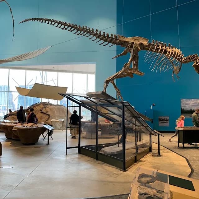 Maryland Science Center — 2-3 hours pre-cruise activity near Port of Baltimore